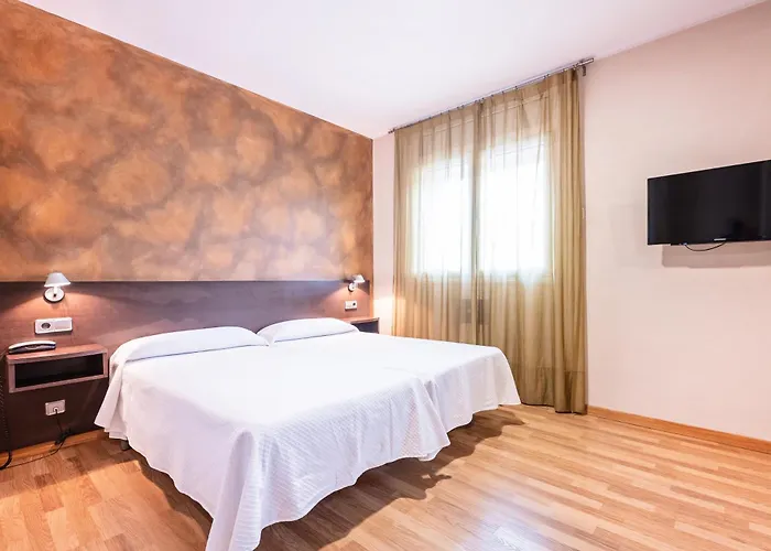 Hotel La Perla D'olot 3*